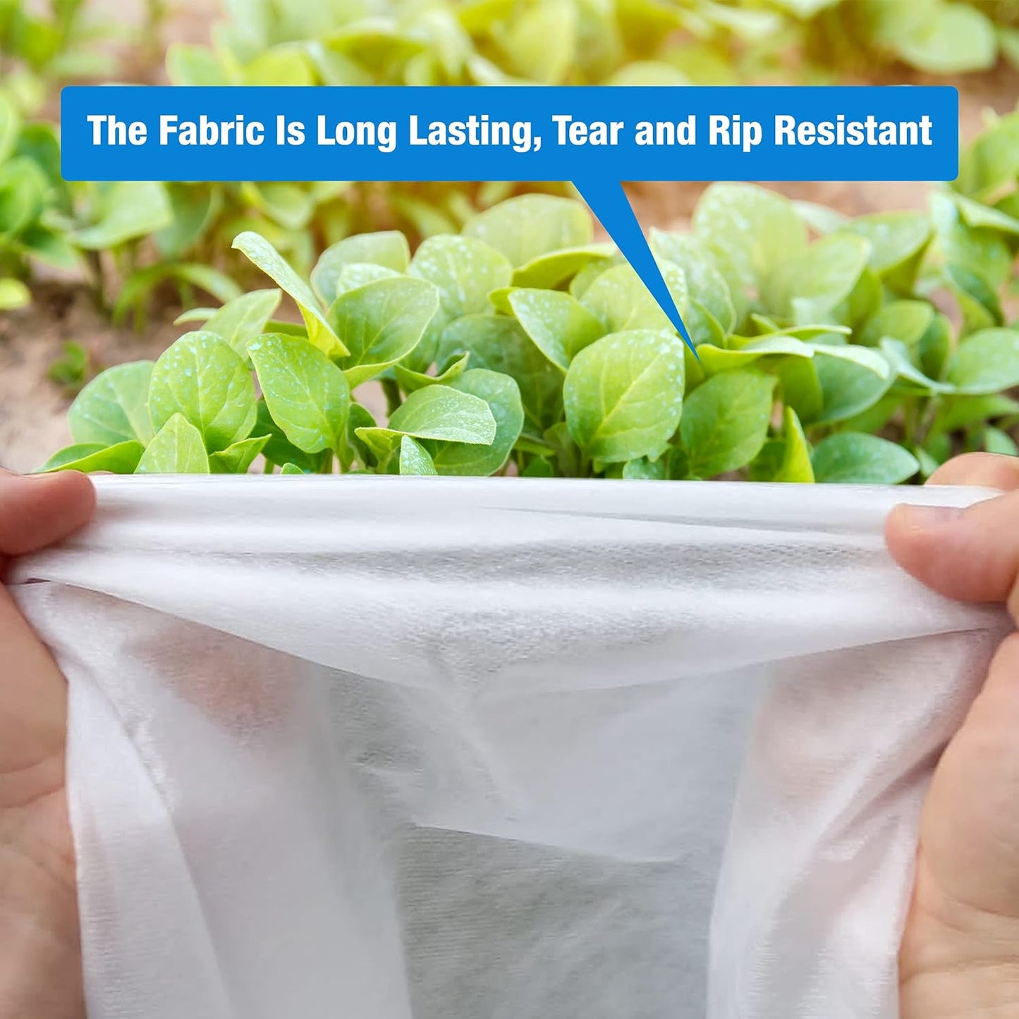 Non-Woven Frost Protect Fleece – 1.6 x 10 m – 30gsm Plant Protection Fleece – Durable and Resilient Winter/Spring Protection – Ideal Cover for Garden, Greenhouse, Plant Protection