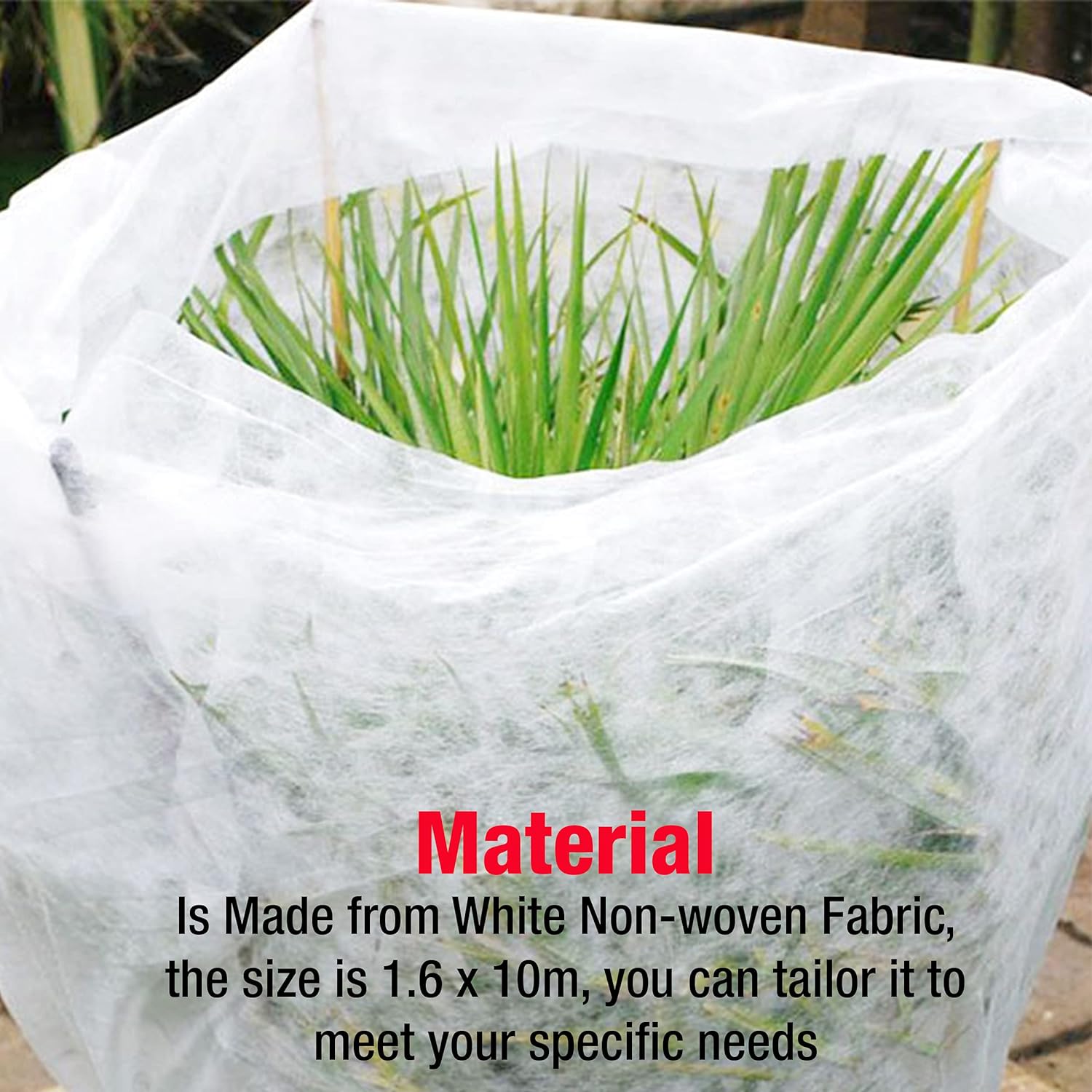 Non-Woven Frost Protect Fleece – 1.6 x 10 m – 30gsm Plant Protection Fleece – Durable and Resilient Winter/Spring Protection – Ideal Cover for Garden, Greenhouse, Plant Protection