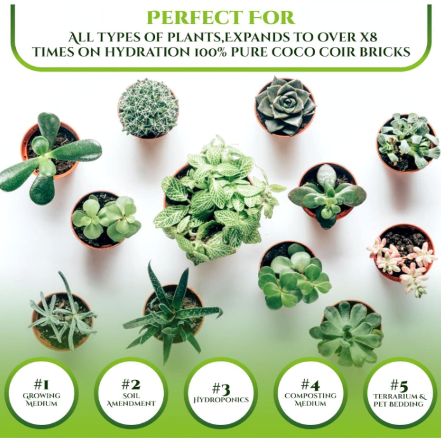 650g Organic Coco Coir Bricks Natural Coconut Fiber for Indoor & Outdoor Plants