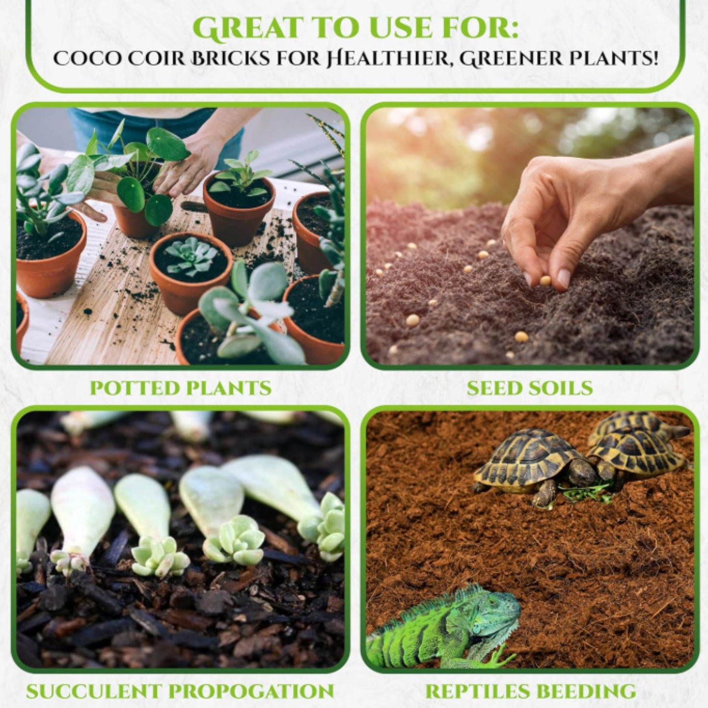 650g Organic Coco Coir Bricks Natural Coconut Fiber for Indoor & Outdoor Plants