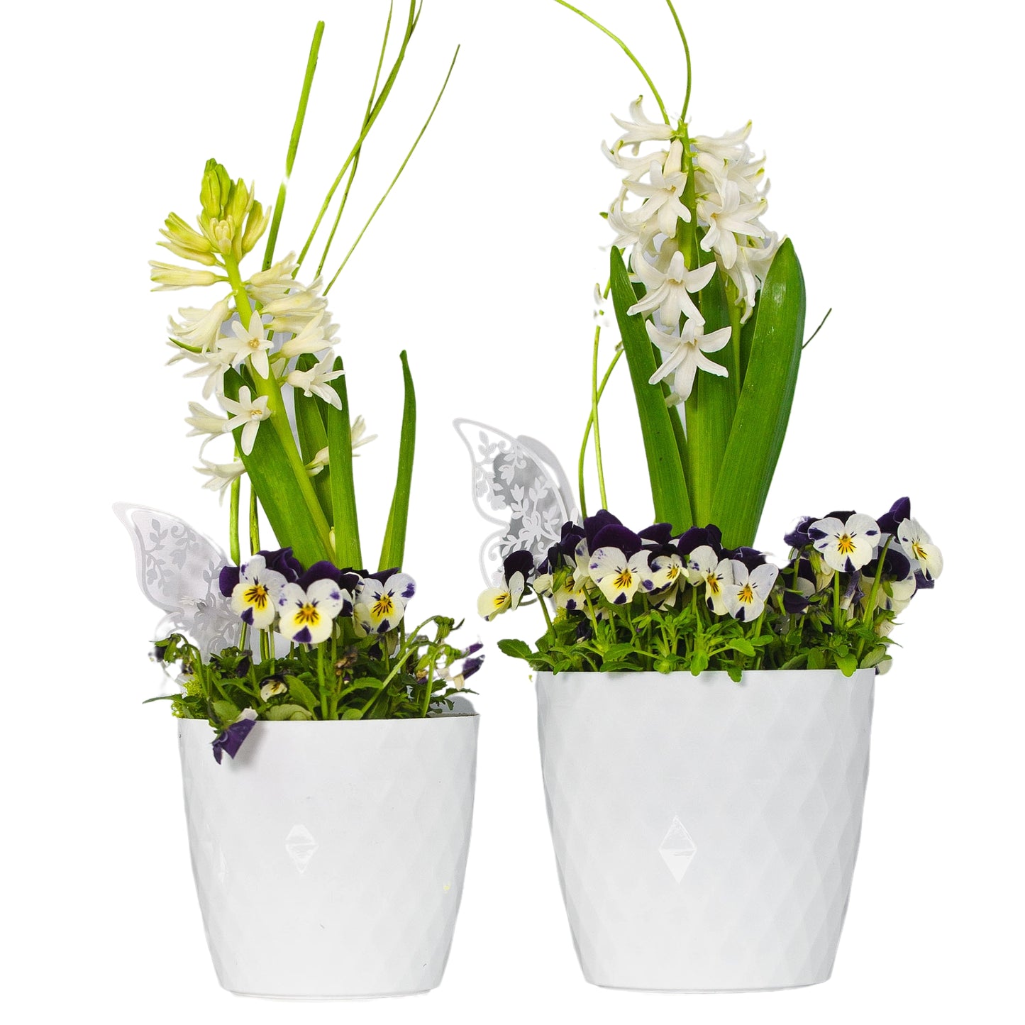 Plant Pots 12cm–30cm – Durable Indoor & Outdoor Plastic Planters with Glossy Finish – Modern Decorative Flower Pots for Houseplants, Herbs, and Home Décor