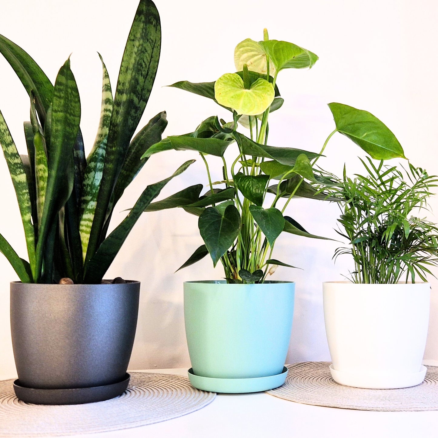 Set of 3 Plant Pots Indoor with Saucers – Matte Plastic Flower Pots (20cm, 18cm, 16cm) – Durable Indoor & Outdoor Planters for House Plants, Herbs & Succulents, Black Graphite