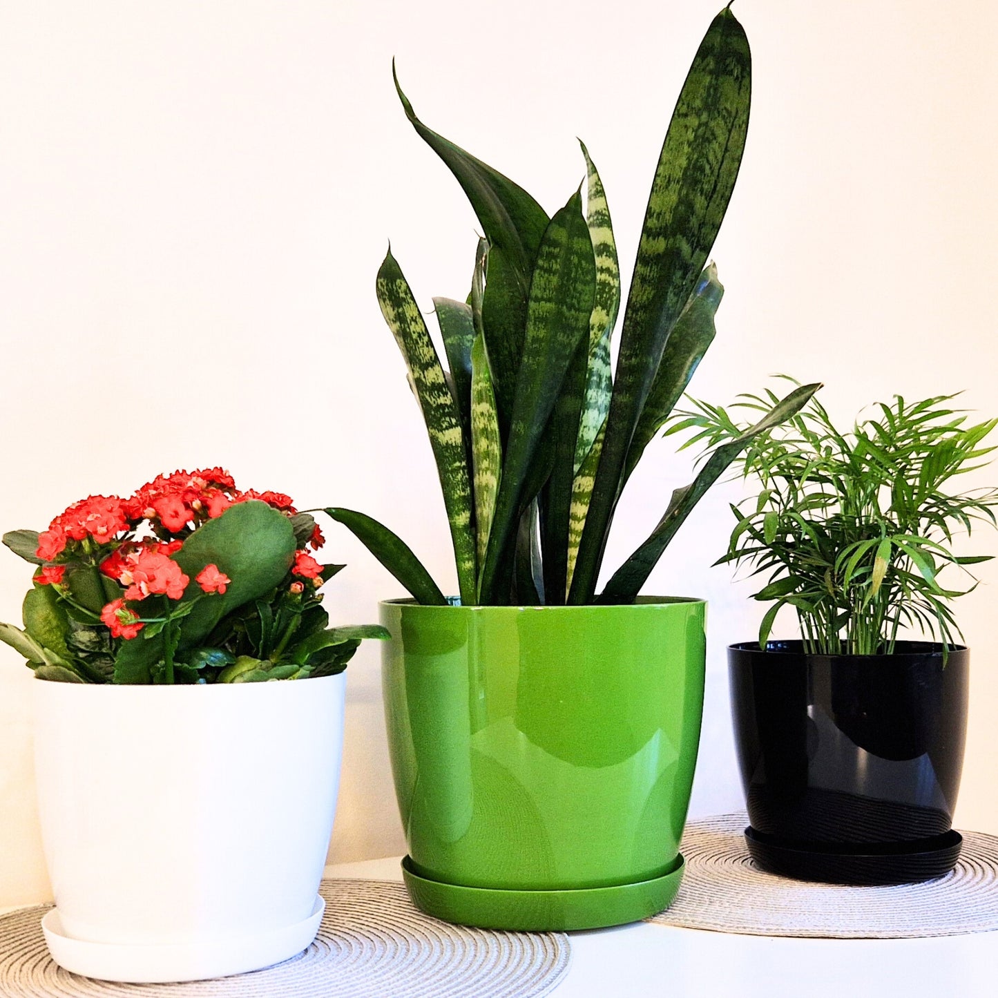 Plant Pots Indoor 20cm with Saucer – Stylish Glossy Plastic Flower Pot – Durable Indoor & Outdoor Planter for House Plants, Herbs, & Succulents