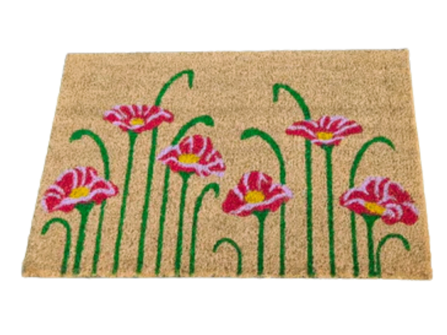Coir Door Mat (60x40cm) - Non-Slip & Absorbent, Indoor/Outdoor, Eco-Friendly