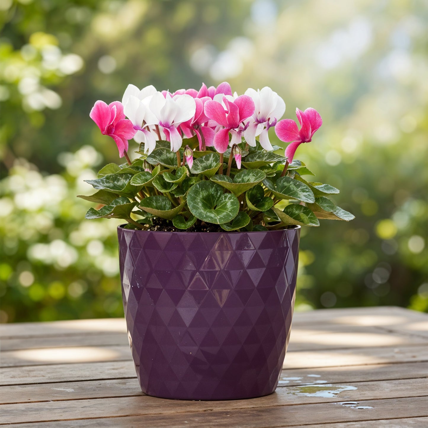 Plant Pots 12cm–30cm – Durable Indoor & Outdoor Plastic Planters with Glossy Finish – Modern Decorative Flower Pots for Houseplants, Herbs, and Home Décor