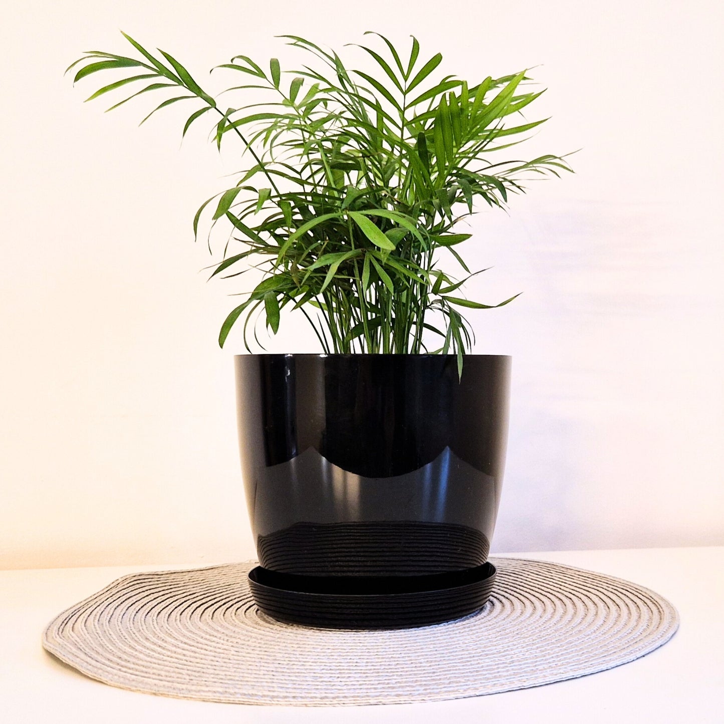 Plant Pots Indoor 20cm with Saucer – Stylish Glossy Plastic Flower Pot – Durable Indoor & Outdoor Planter for House Plants, Herbs, & Succulents