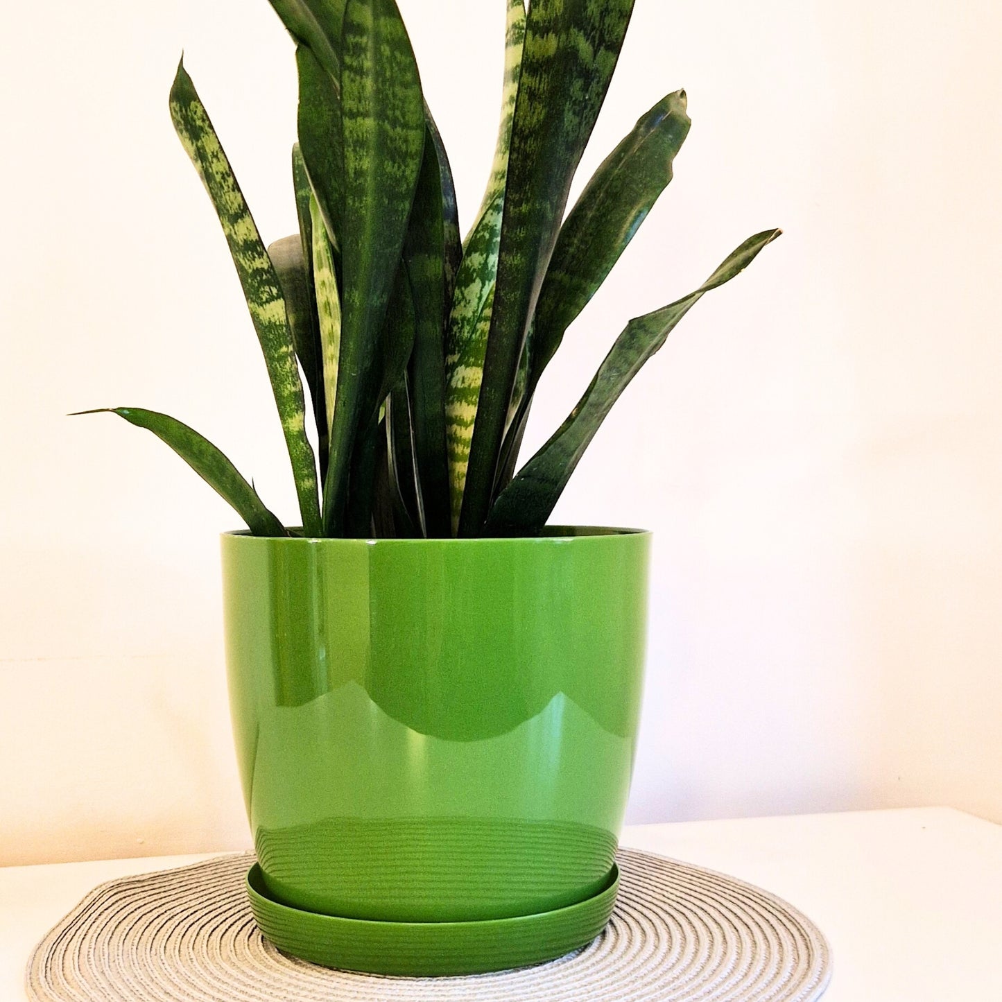 Plant Pots Indoor 20cm with Saucer – Stylish Glossy Plastic Flower Pot – Durable Indoor & Outdoor Planter for House Plants, Herbs, & Succulents