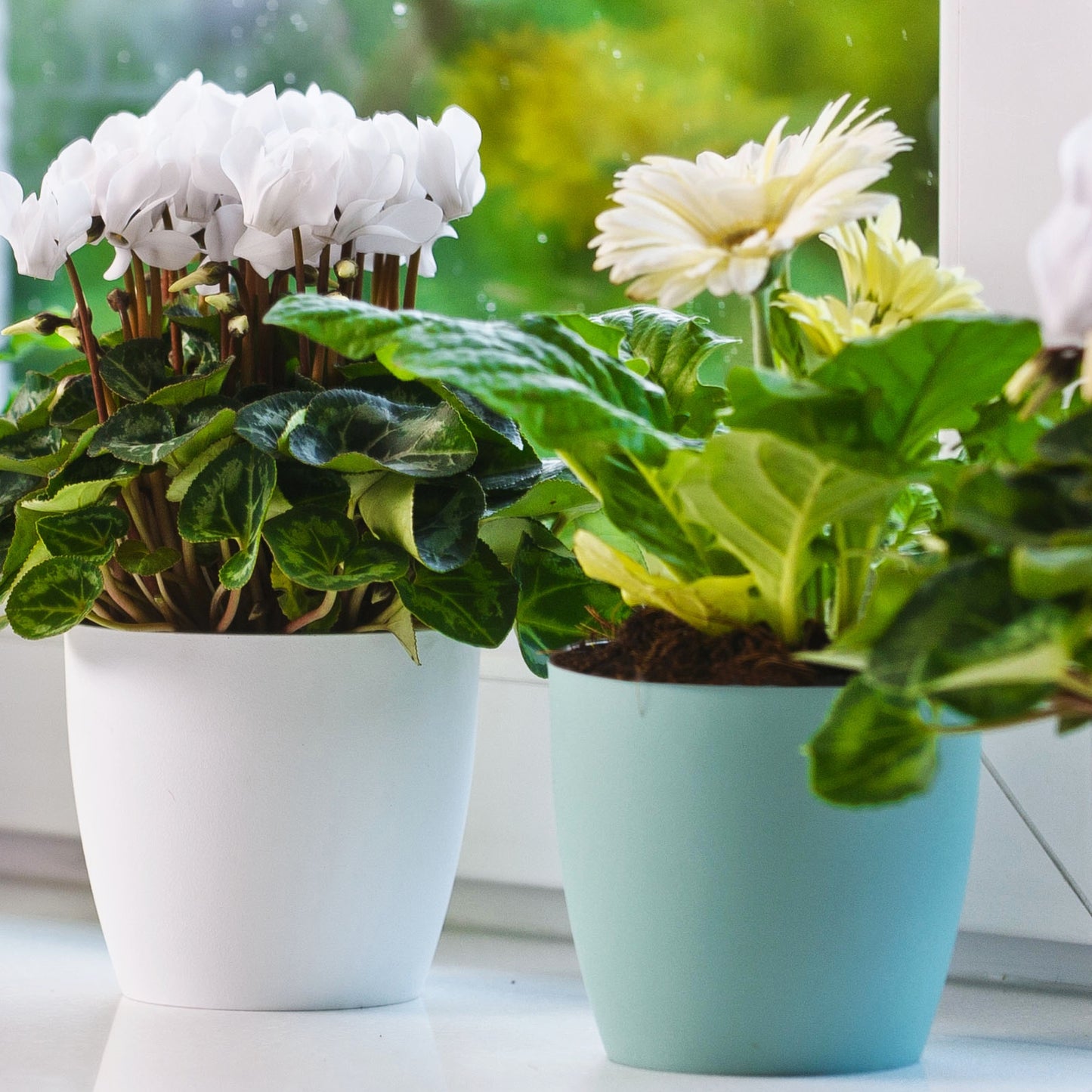 Plant Pots Indoor with Saucer – Elegant Matte Plastic Flower Pot – Durable Indoor & Outdoor Planter for House Plants, Herbs & Succulents