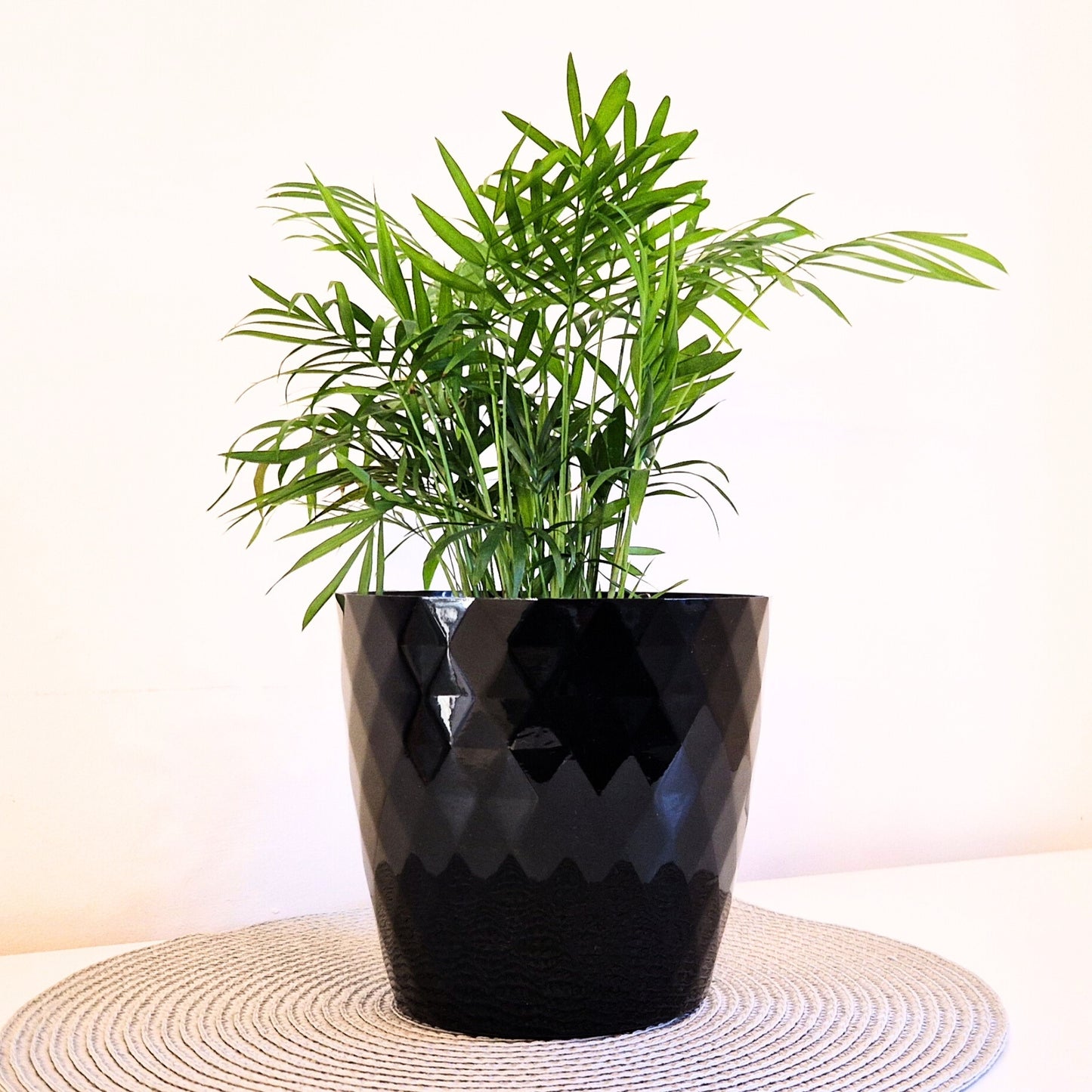 Plant Pots 12cm–30cm – Durable Indoor & Outdoor Plastic Planters with Glossy Finish – Modern Decorative Flower Pots for Houseplants, Herbs, and Home Décor