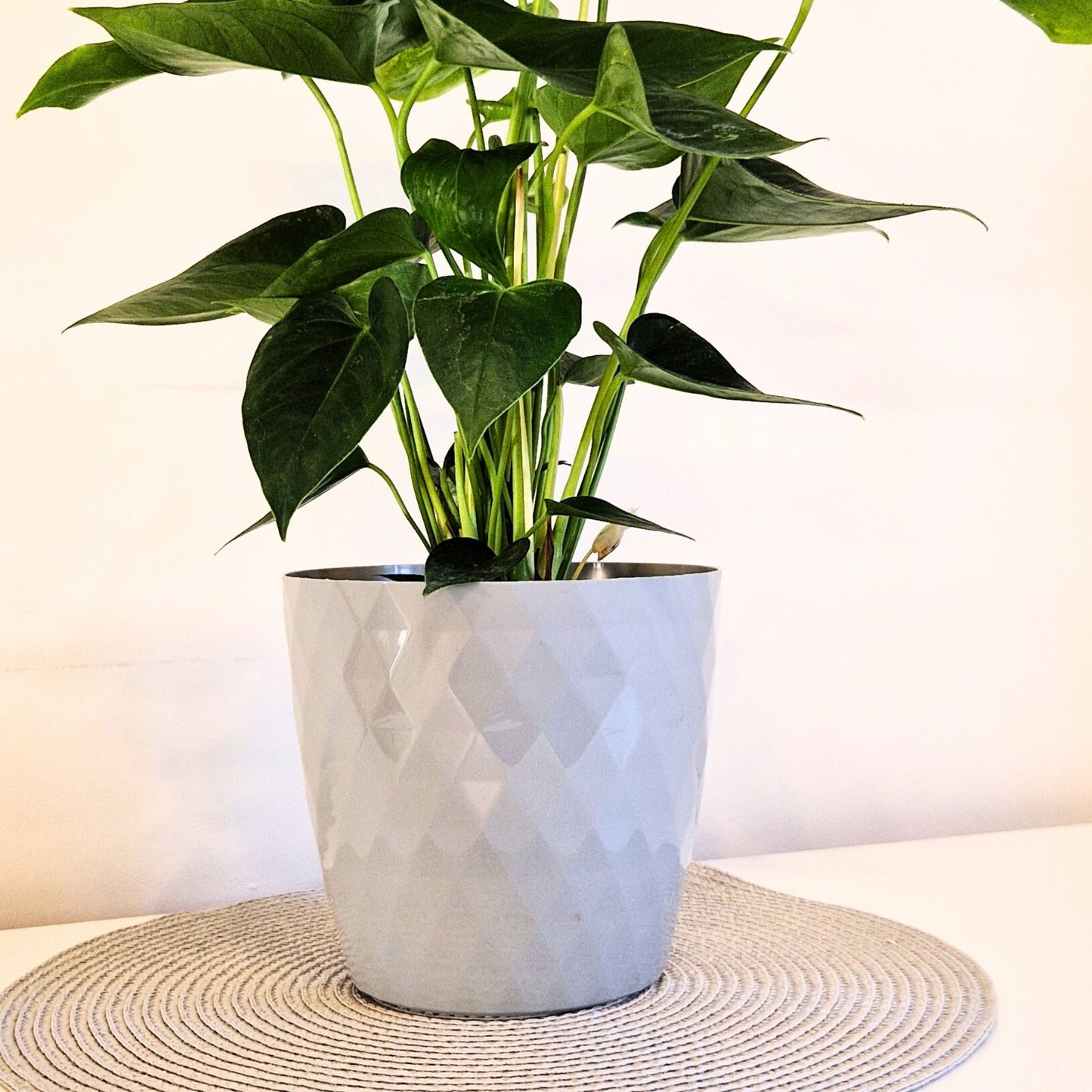 Plant Pots 12cm–30cm – Durable Indoor & Outdoor Plastic Planters with Glossy Finish – Modern Decorative Flower Pots for Houseplants, Herbs, and Home Décor