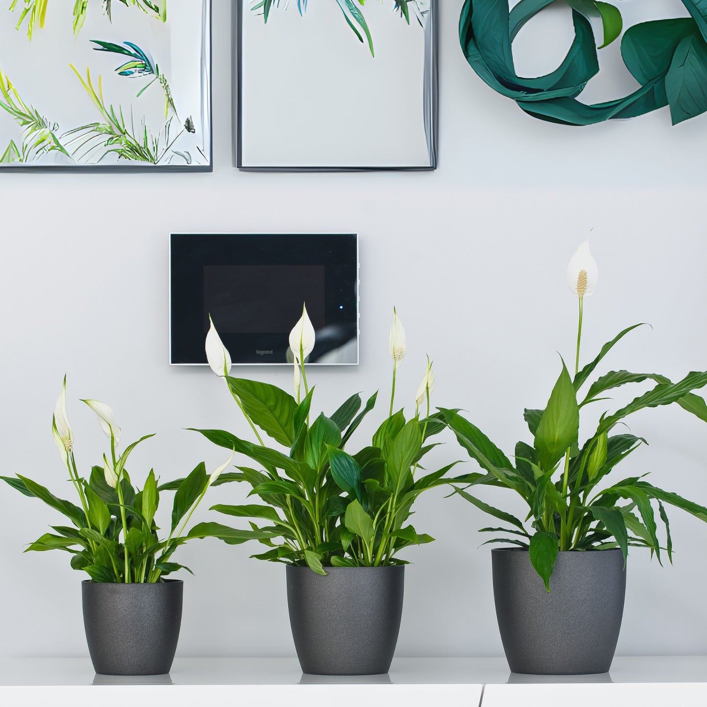 Plant Pots Indoor with Saucer – Elegant Matte Plastic Flower Pot – Durable Indoor & Outdoor Planter for House Plants, Herbs & Succulents