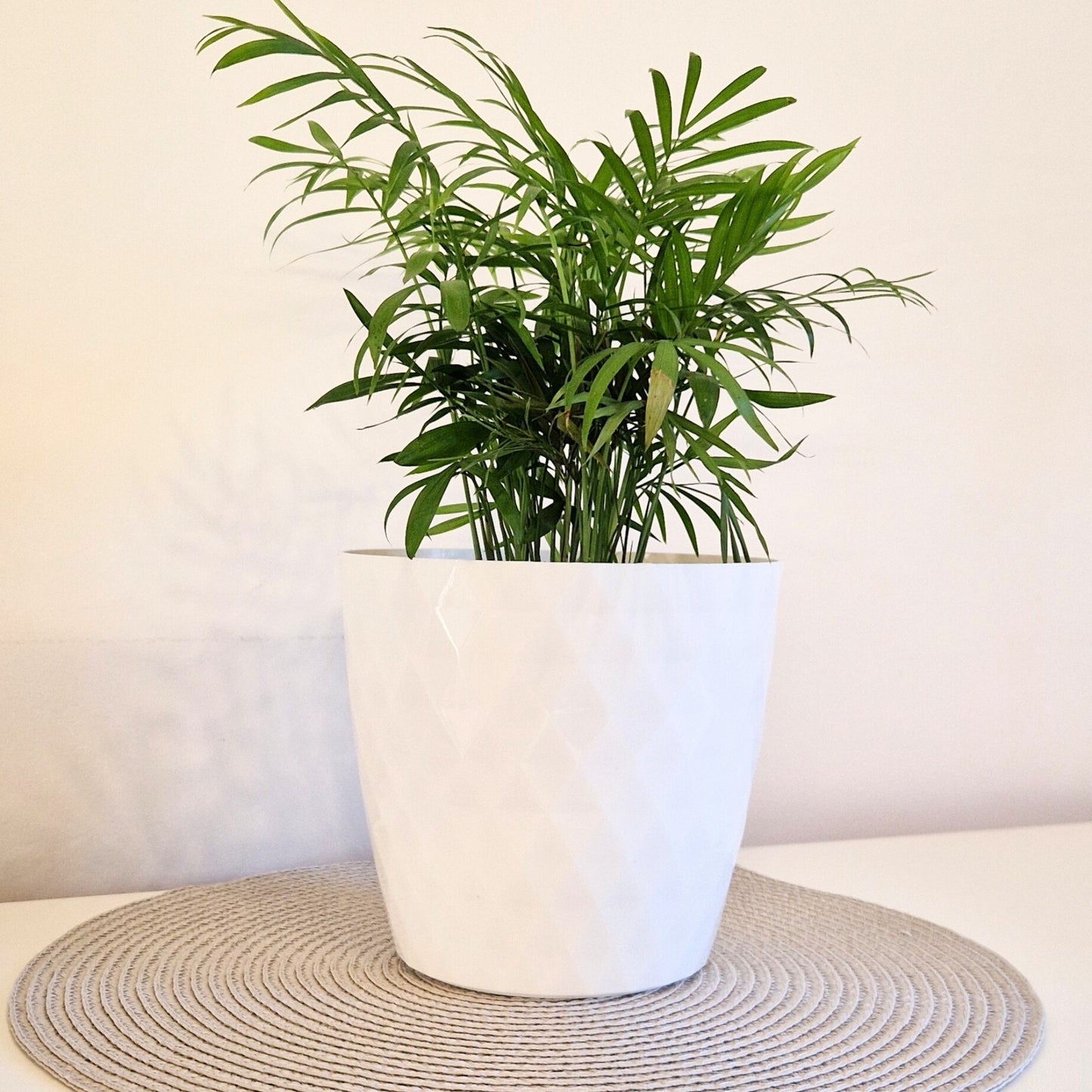 Plant Pots 12cm–30cm – Durable Indoor & Outdoor Plastic Planters with Glossy Finish – Modern Decorative Flower Pots for Houseplants, Herbs, and Home Décor
