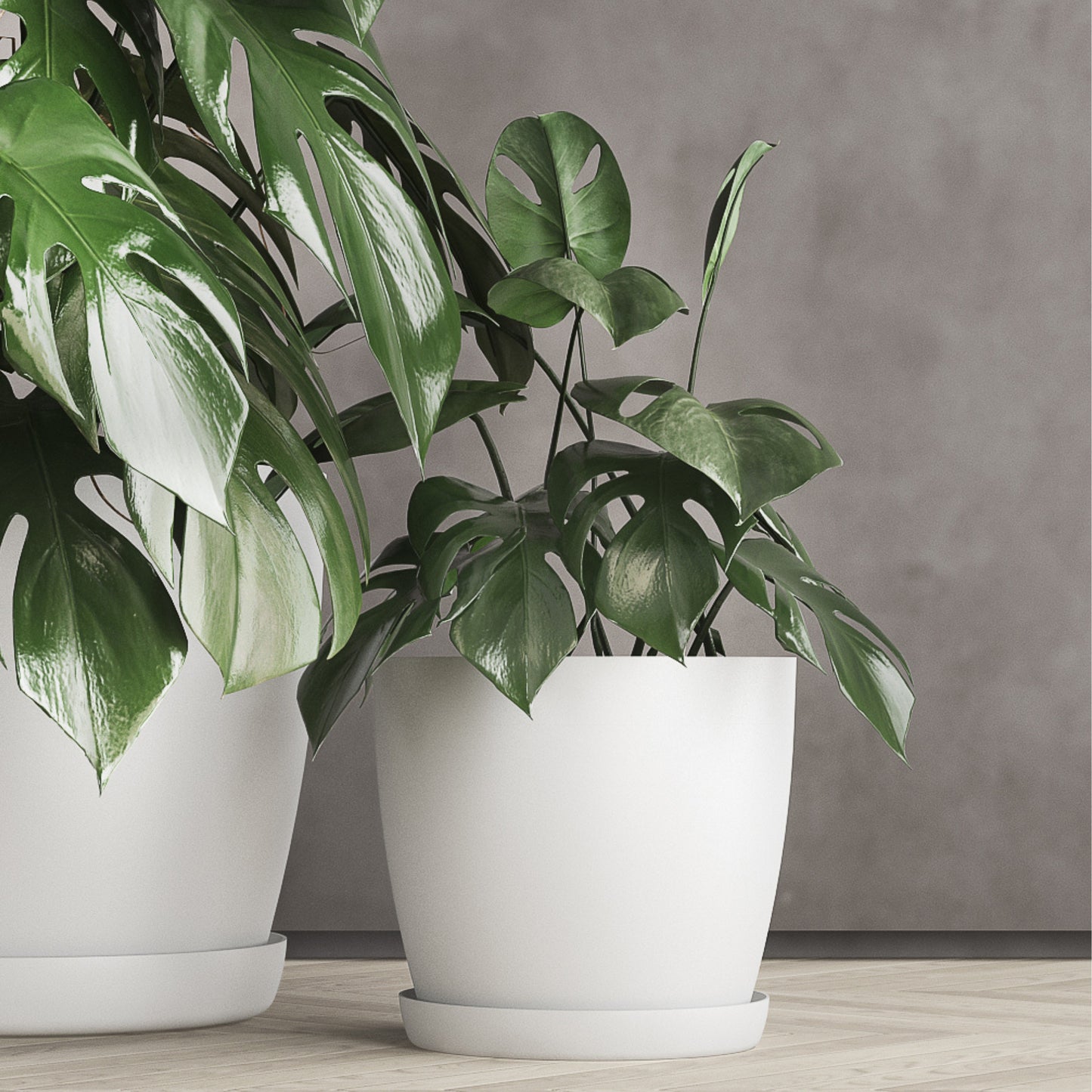Plant Pots Indoor with Saucer – Elegant Matte Plastic Flower Pot – Durable Indoor & Outdoor Planter for House Plants, Herbs & Succulents