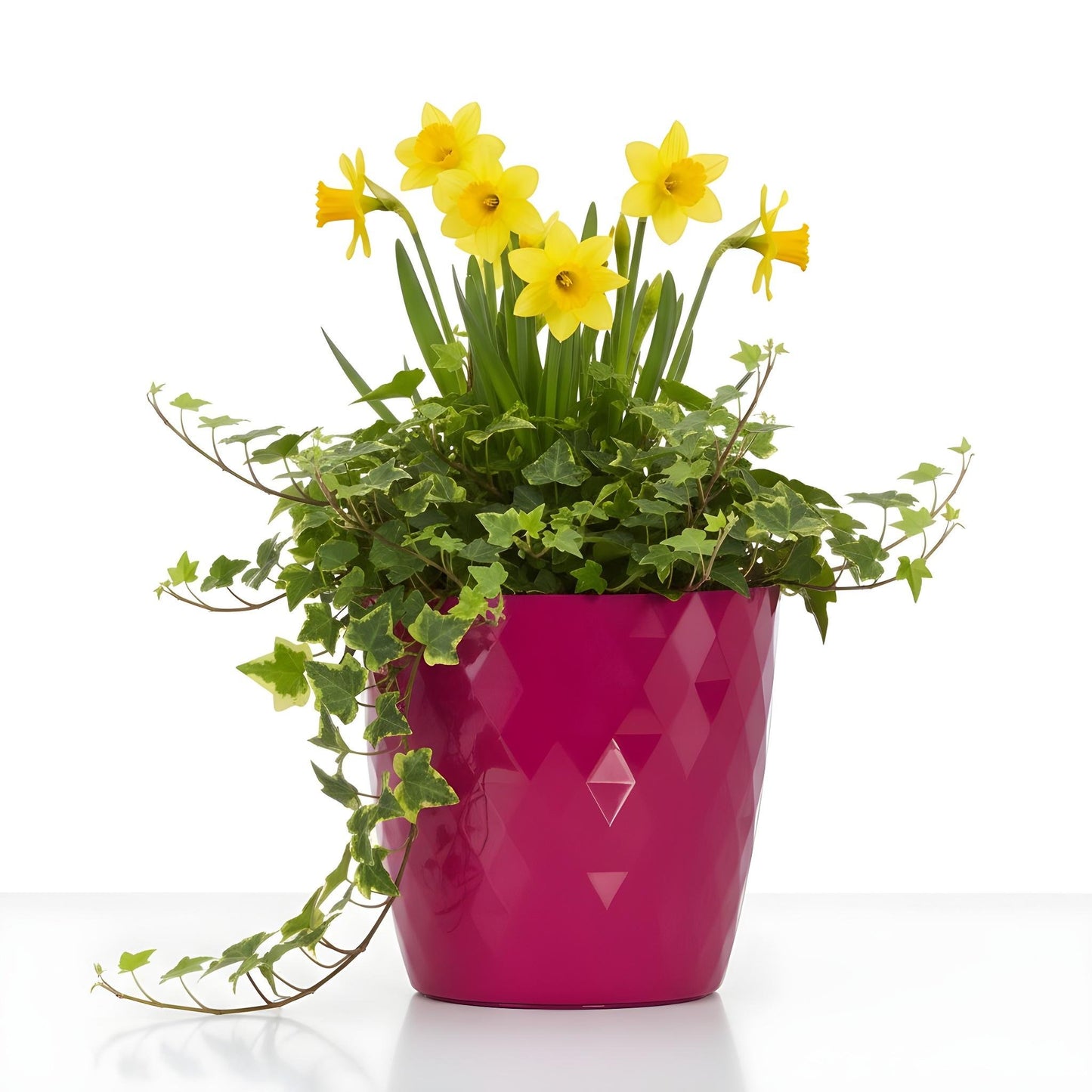 Plant Pots 12cm–30cm – Durable Indoor & Outdoor Plastic Planters with Glossy Finish – Modern Decorative Flower Pots for Houseplants, Herbs, and Home Décor