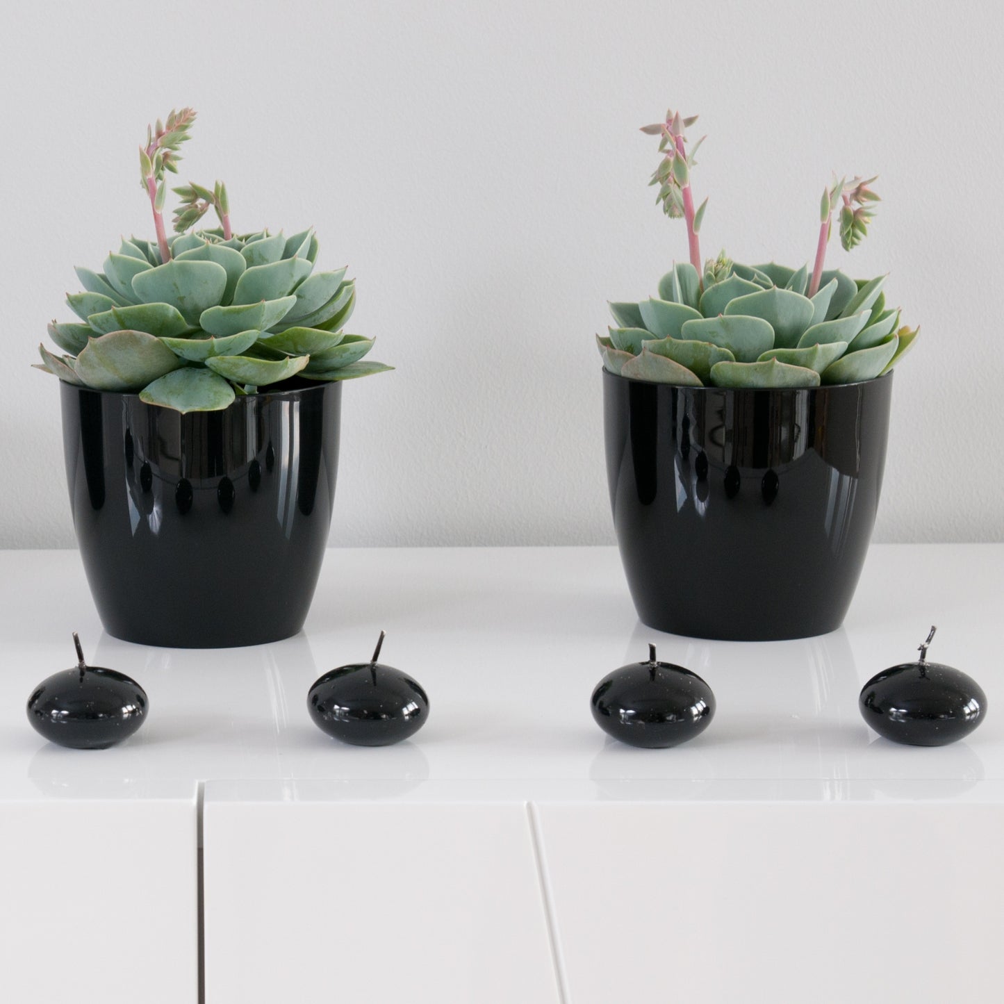 Plant Pots Indoor 20cm with Saucer – Stylish Glossy Plastic Flower Pot – Durable Indoor & Outdoor Planter for House Plants, Herbs, & Succulents