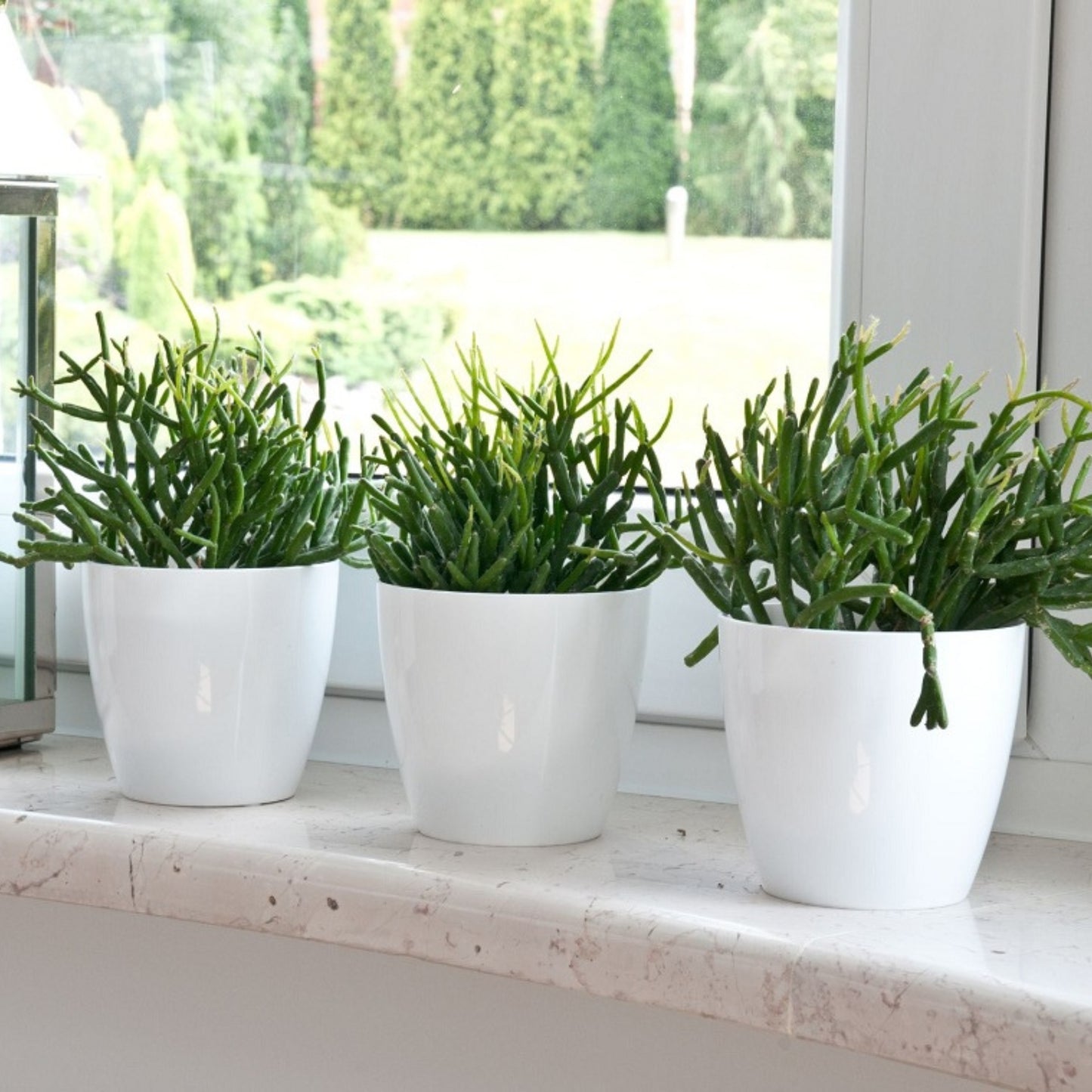Plant Pots Indoor 20cm with Saucer – Stylish Glossy Plastic Flower Pot – Durable Indoor & Outdoor Planter for House Plants, Herbs, & Succulents
