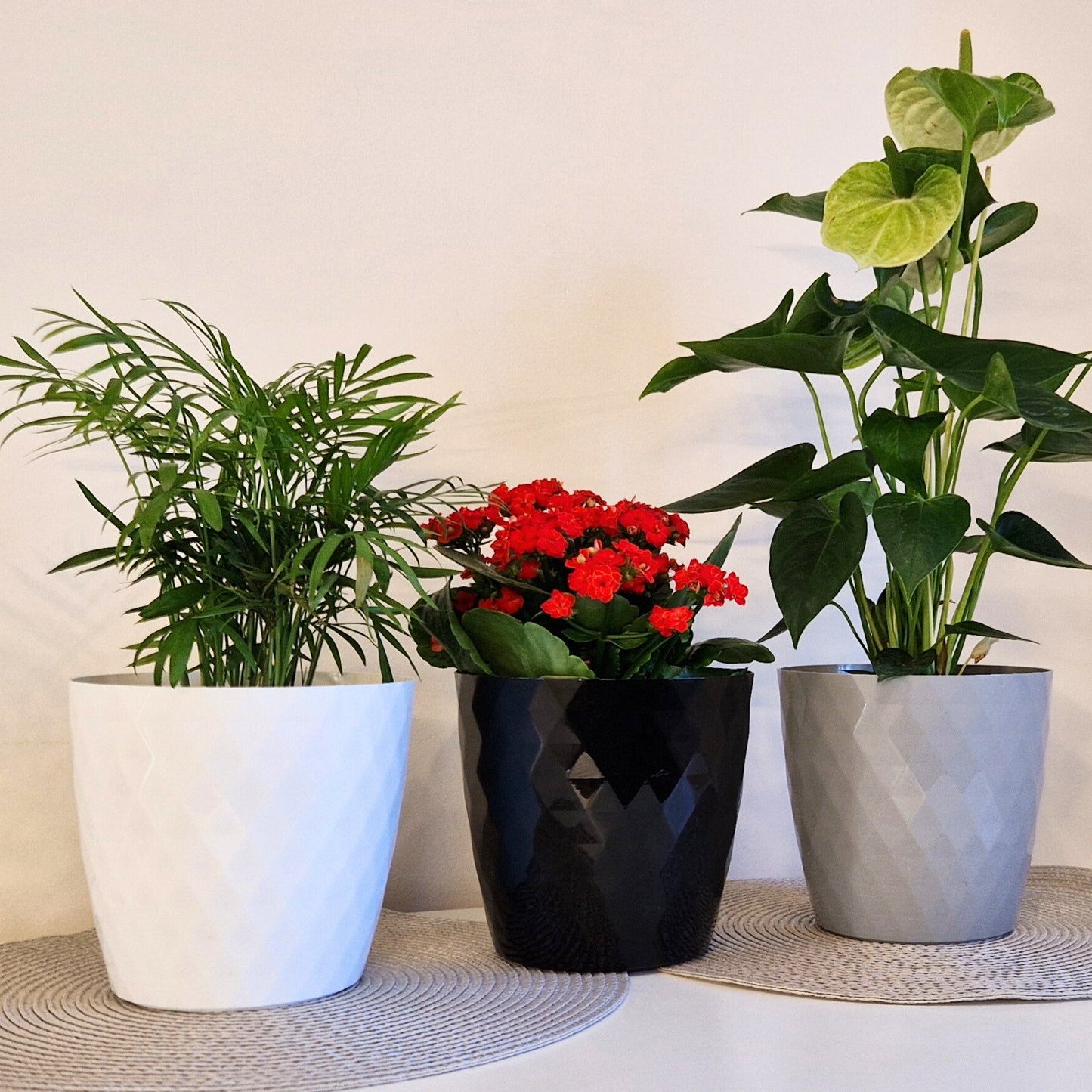 Plant Pots Indoor 20cm – Stylish Decorative Plastic Flower Pot with Glossy Crystal Surface – Durable Indoor & Outdoor Planter for House Plants, Herbs