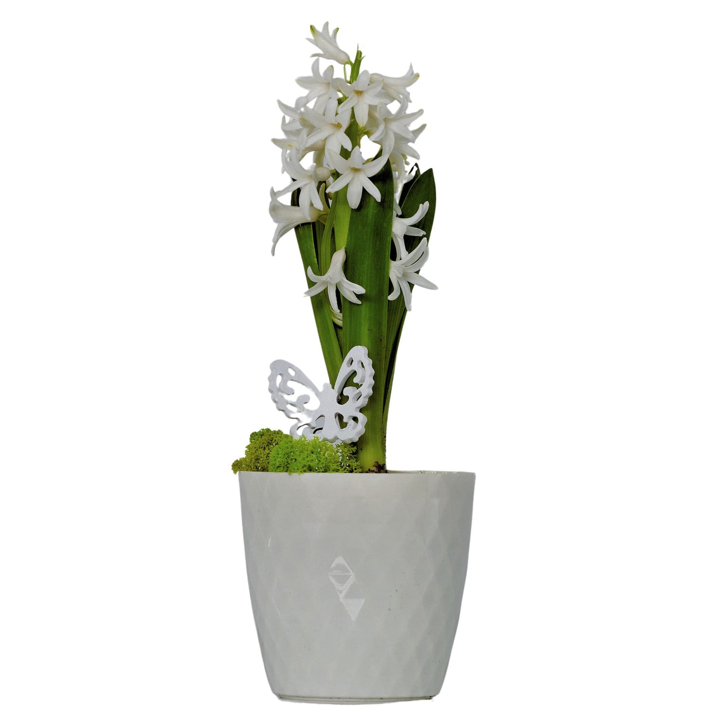 Plant Pots 12cm–30cm – Durable Indoor & Outdoor Plastic Planters with Glossy Finish – Modern Decorative Flower Pots for Houseplants, Herbs, and Home Décor