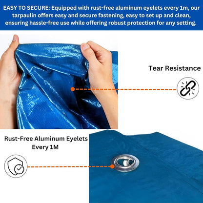 Blue Tarpaulin 50GSM Tarp Sheet + 10 Bungee Balls Camping Garden Cover