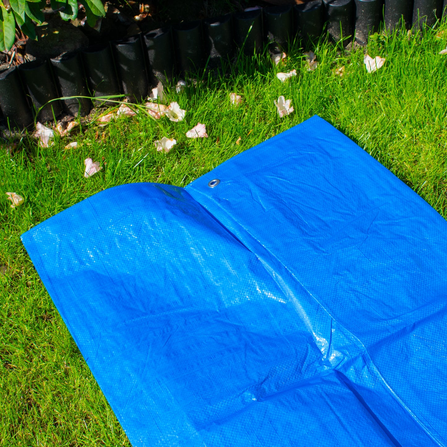 Blue Tarpaulin 50GSM Tarp Sheet + 10 Bungee Balls Camping Garden Cover