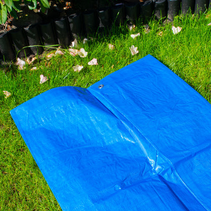 Blue Tarpaulin 50GSM Tarp Sheet + 10 Bungee Balls Camping Garden Cover