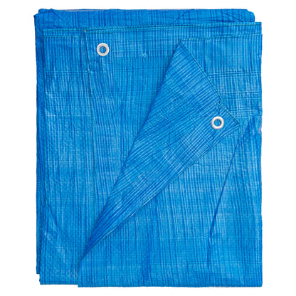 Blue Tarpaulin 50GSM Tarp Sheet + 10 Bungee Balls Camping Garden Cover