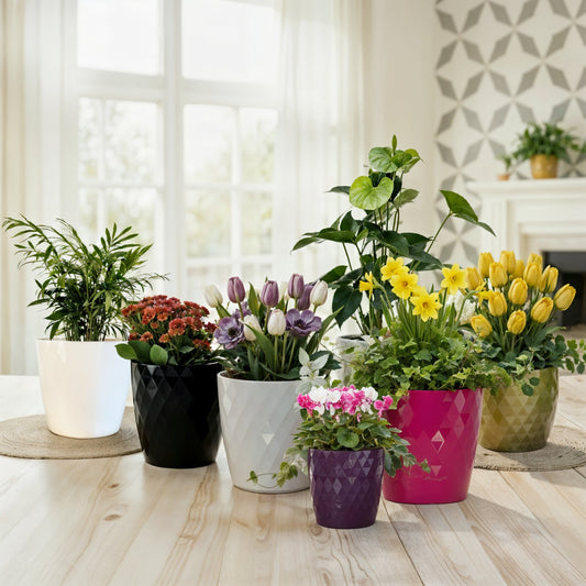 Plant Pots 12cm–30cm – Durable Indoor & Outdoor Plastic Planters with Glossy Finish – Modern Decorative Flower Pots for Houseplants, Herbs, and Home Décor