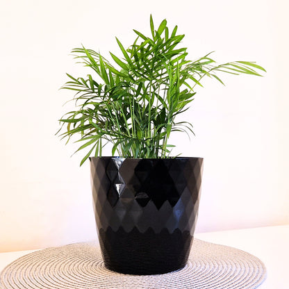Plant Pots 12cm–30cm – Durable Indoor & Outdoor Plastic Planters with Glossy Finish – Modern Decorative Flower Pots for Houseplants, Herbs, and Home Décor