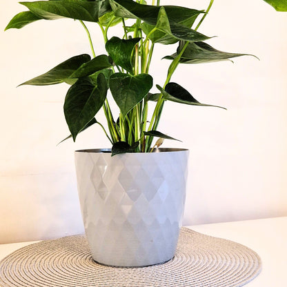 Plant Pots 12cm–30cm – Durable Indoor & Outdoor Plastic Planters with Glossy Finish – Modern Decorative Flower Pots for Houseplants, Herbs, and Home Décor