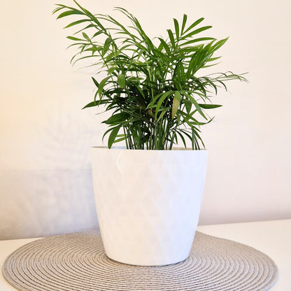 Plant Pots 12cm–30cm – Durable Indoor & Outdoor Plastic Planters with Glossy Finish – Modern Decorative Flower Pots for Houseplants, Herbs, and Home Décor