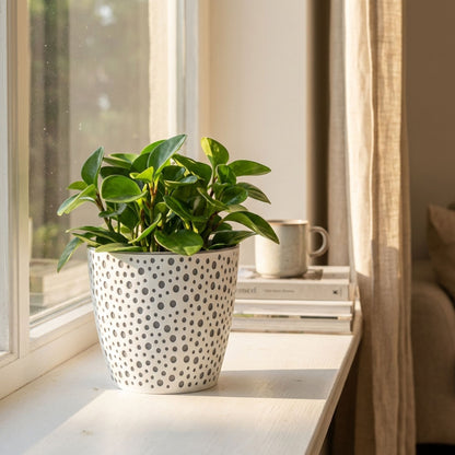 Flower Pot 19cm Decorative Modern Dotted Design Plastic Planter Round Plant Pot