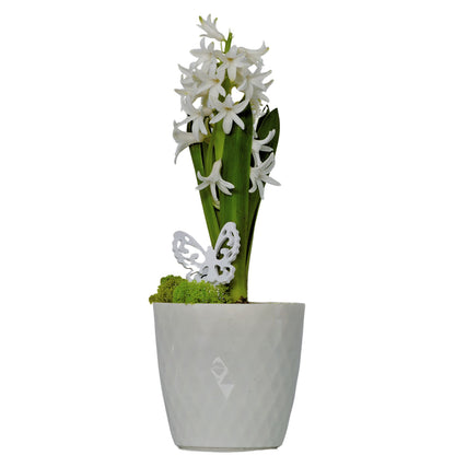 Plant Pots 12cm–30cm – Durable Indoor & Outdoor Plastic Planters with Glossy Finish – Modern Decorative Flower Pots for Houseplants, Herbs, and Home Décor